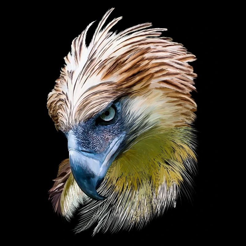 Adler