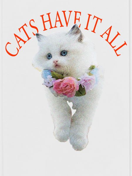 Sassy Cat
