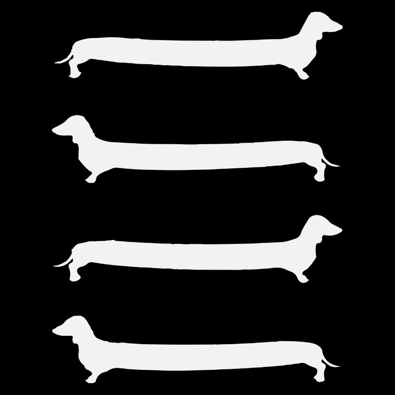 Echelle de teckel