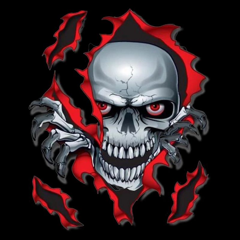 Skull