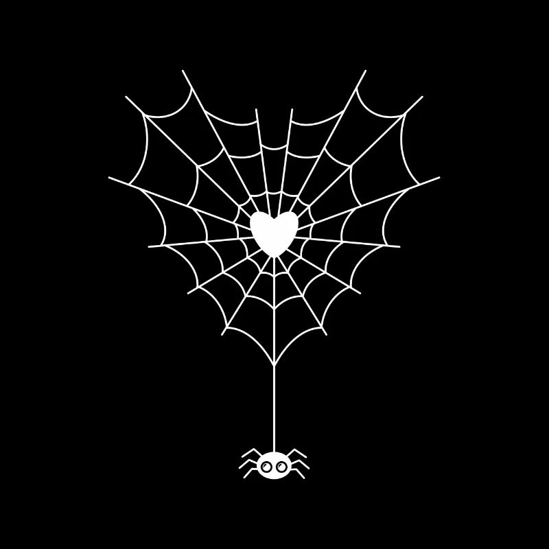 Spider in spider web