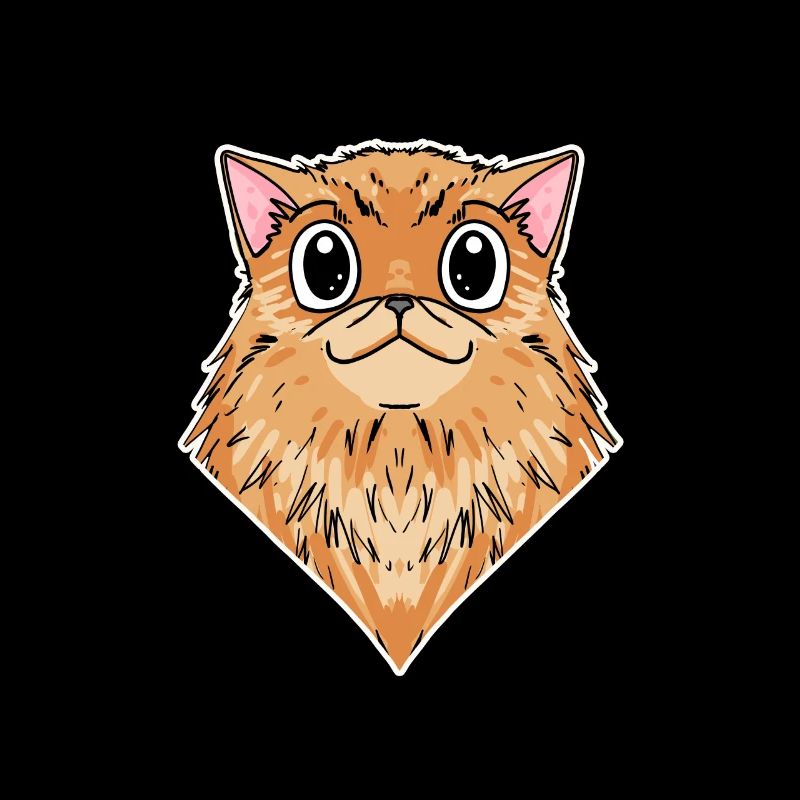 Chat persan Race de chat Chat