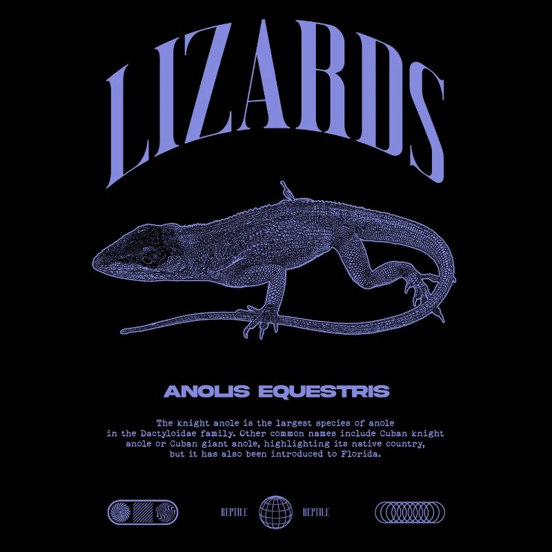 Cuban Knight Anole Reptile Keeper Lizard