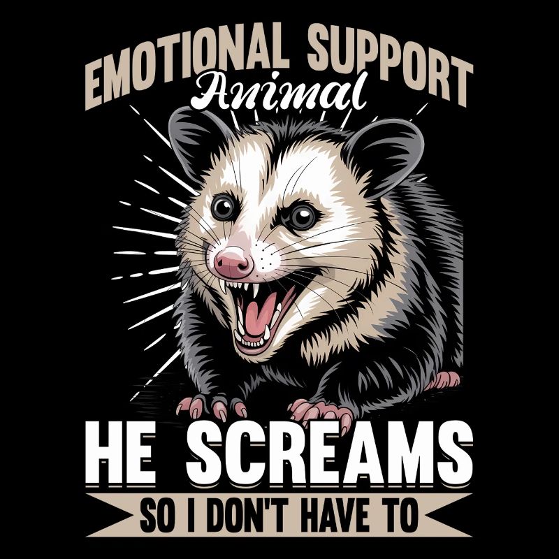 Drôle d’opossum