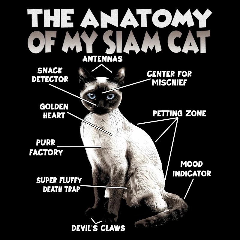 Siamese Cats T | Siamese Cat Cats Siamese Cats