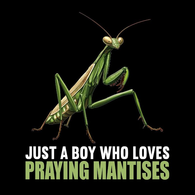 Praying mantises Praying mantis