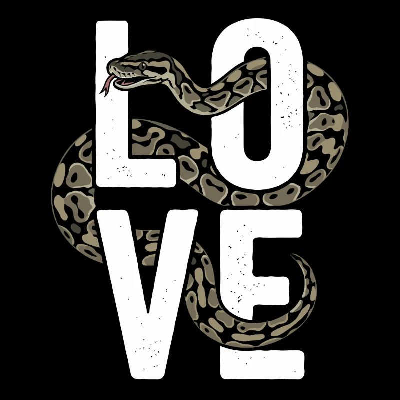 Les serpents rois Python ADORENT les pythons de terrarium