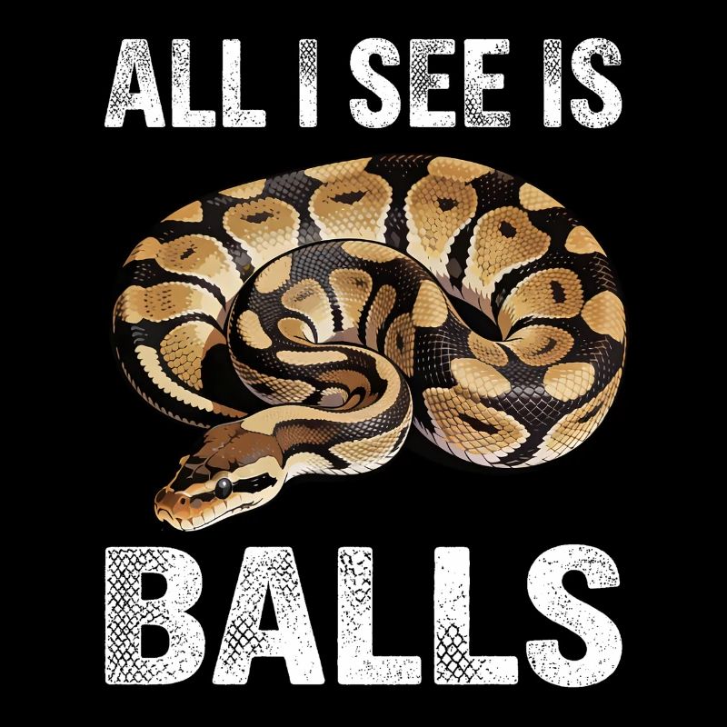 Python roi Serpents Amateurs de terrarium Python