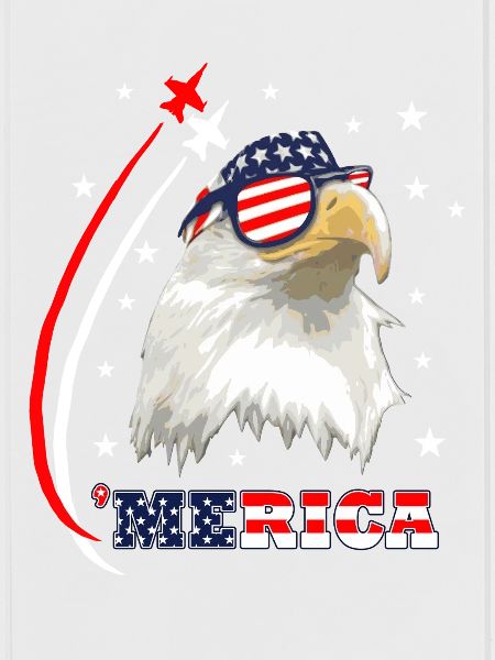 Merica Eagle