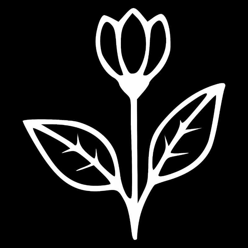 Fleurs Tulipe Fleurs blanches Fleurs Fleur Forêts Herbes