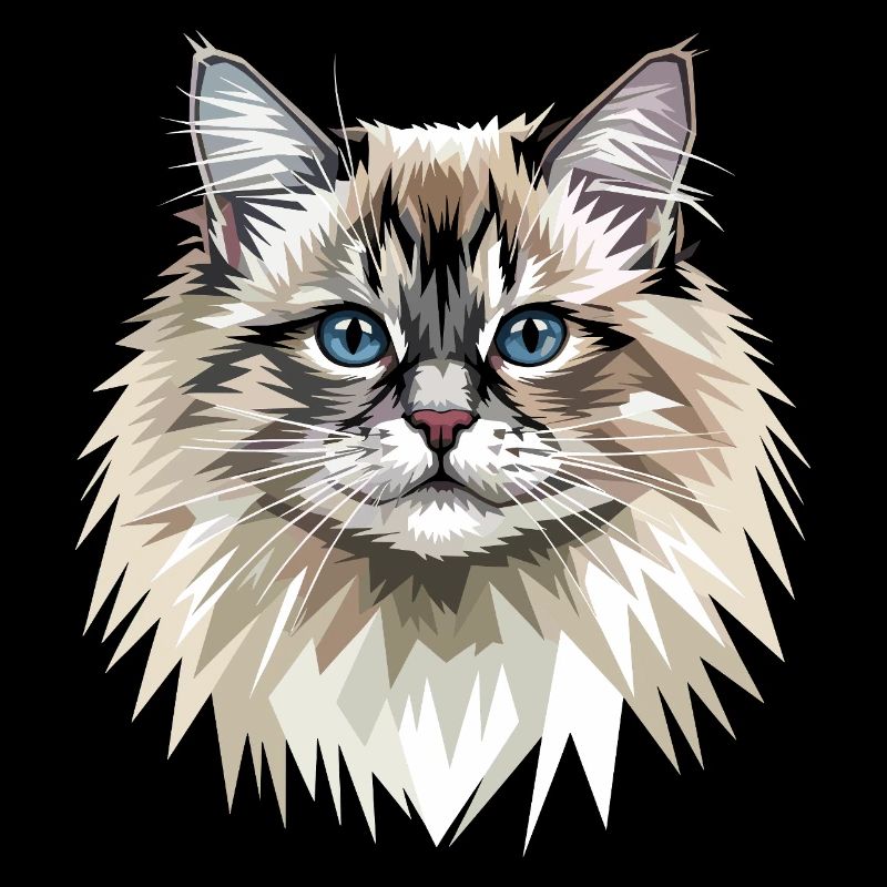 Ragdoll Cat Ragdoll Cat Cute Ragdoll Cats