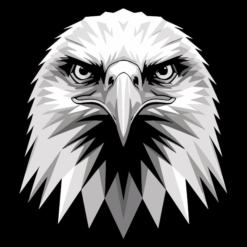 Aigle Pygargue à tête blanche Aigle royal Pygargue à queue blanche