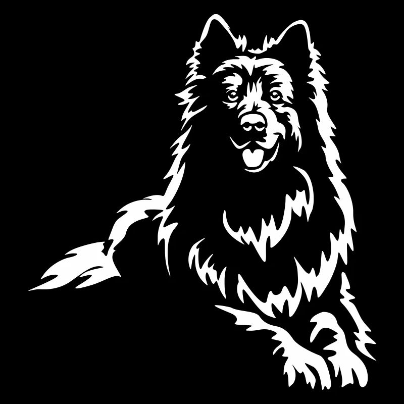 Swiss Shepherd "Black Edition"