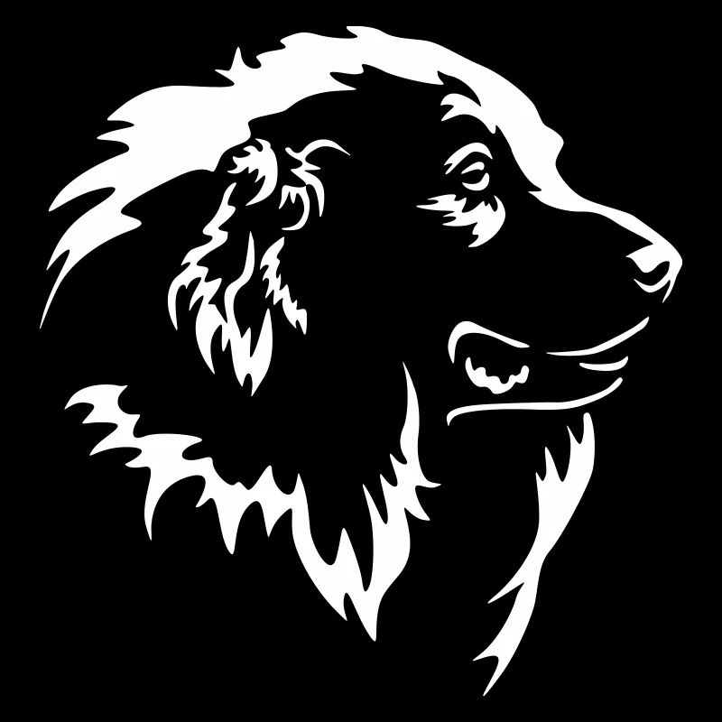 Tête de bouvier pyrénéen « Black Edition »