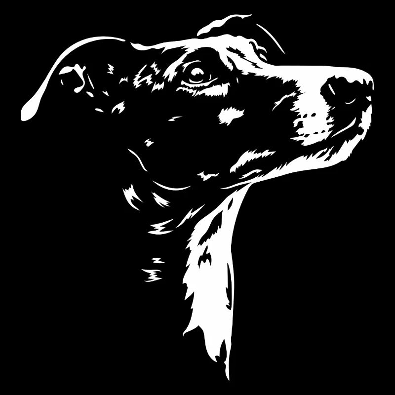 Galgo Español, silhouette Galga Lévriers Wilsigns