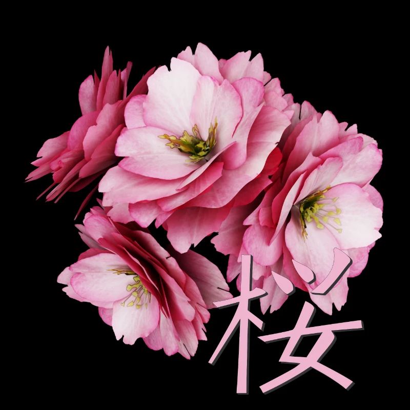 Fleur de cerisier