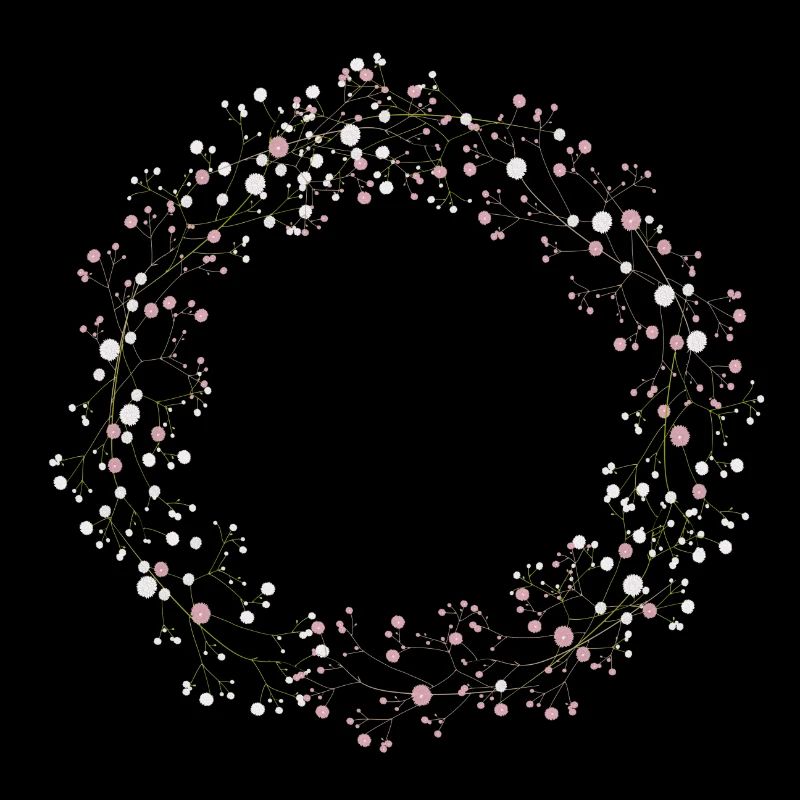 Délicates fleurs blanches et roses Couronne d’haleine de bébé