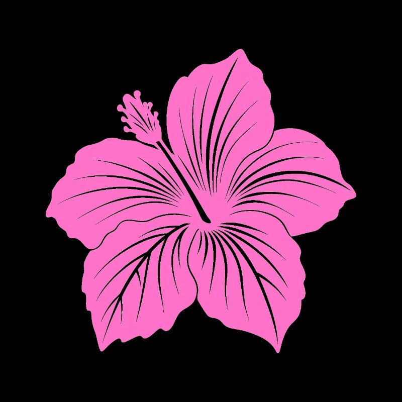 Fleur d’hibiscus