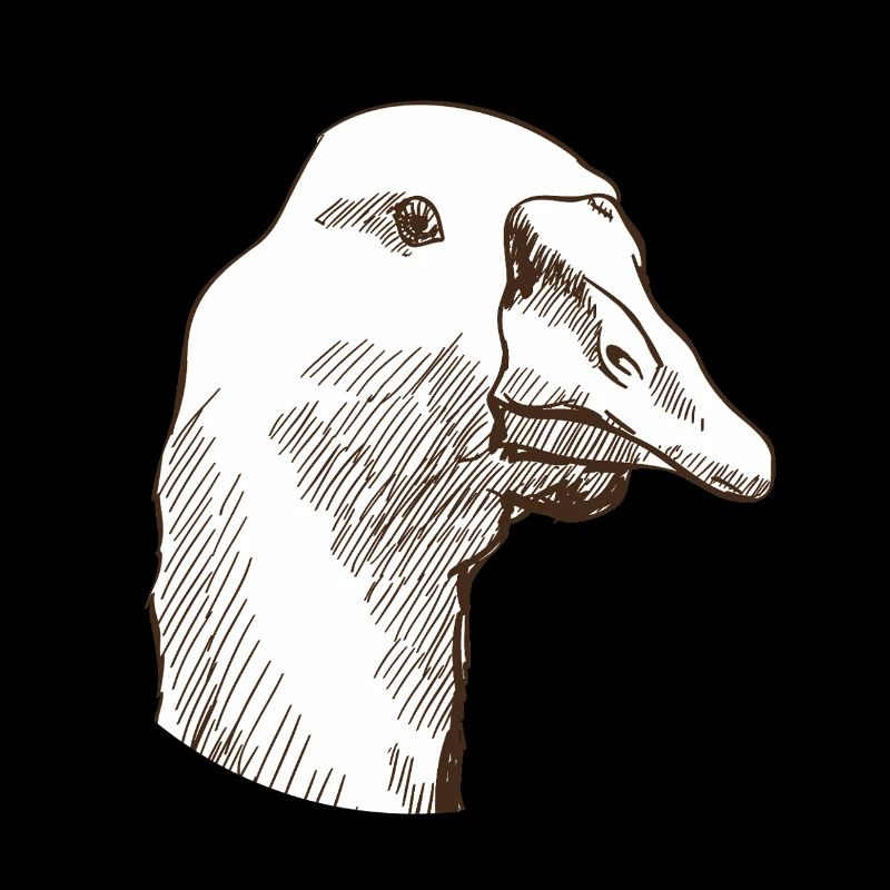 Gans