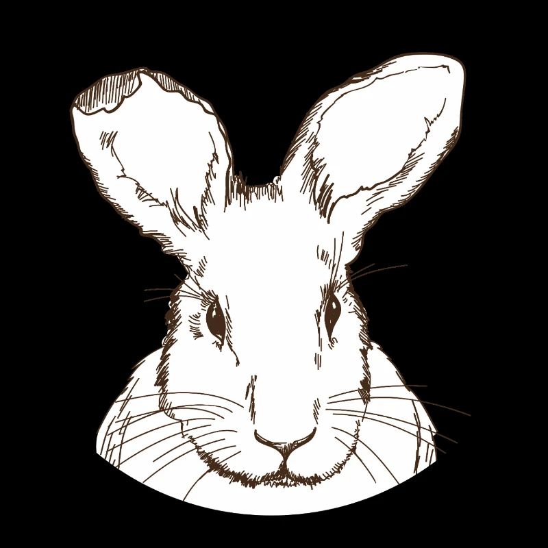 Lapin