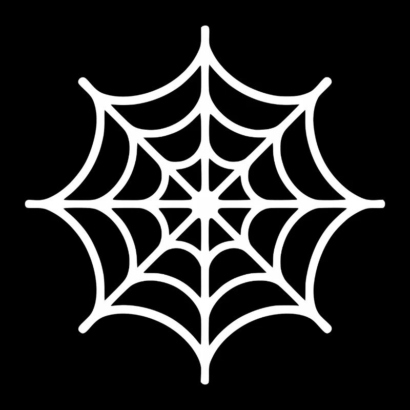 Spinnennetz Spinne