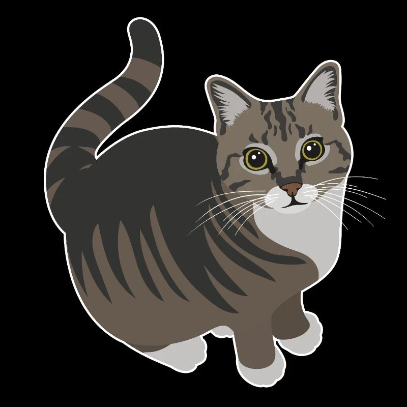 tabby cat with white paws