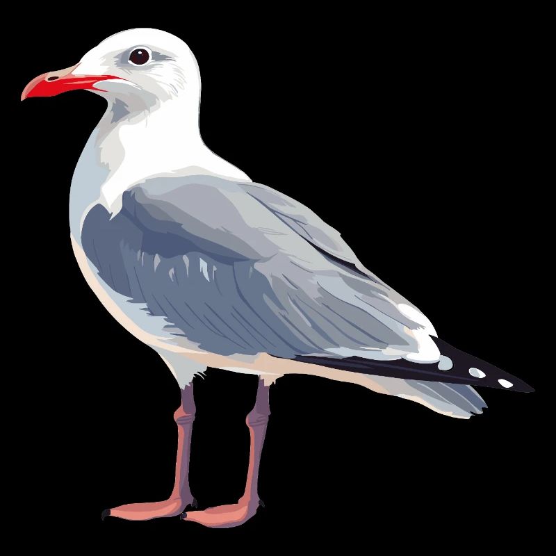 Mouette