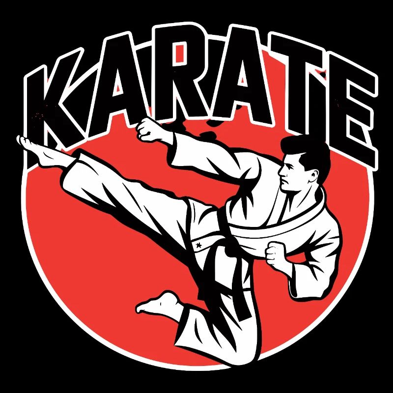 Karate Martial Arts Karateka Kick Dojo Training