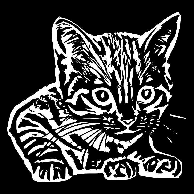 Chat Chat Bébé T-shirt Idée Cadeau