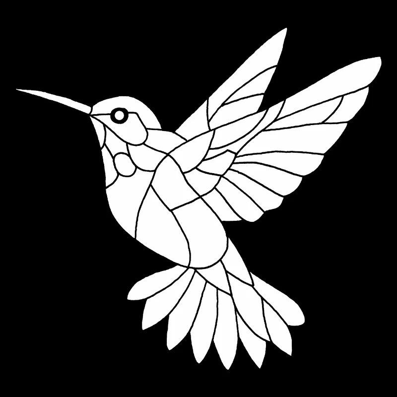 Colibri blanc