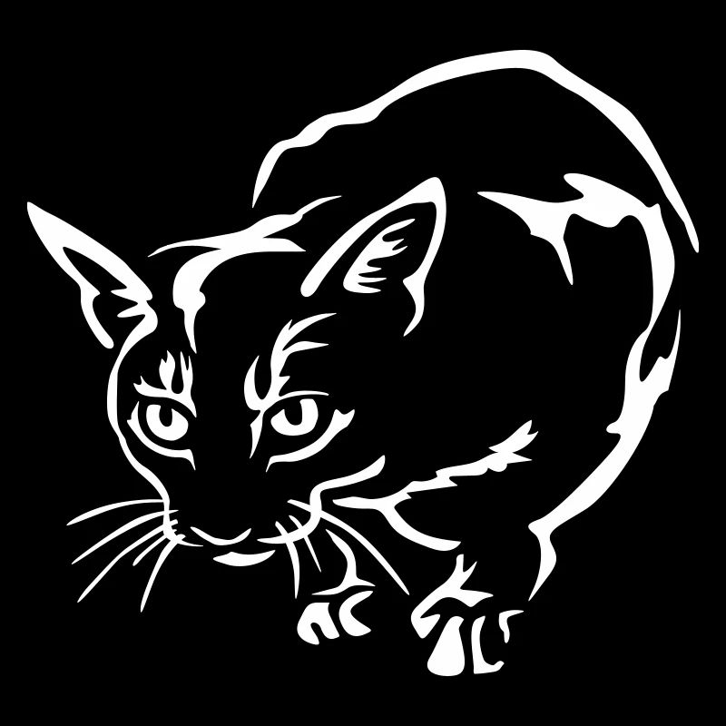 Chat Abyssiner « Édition Noire »