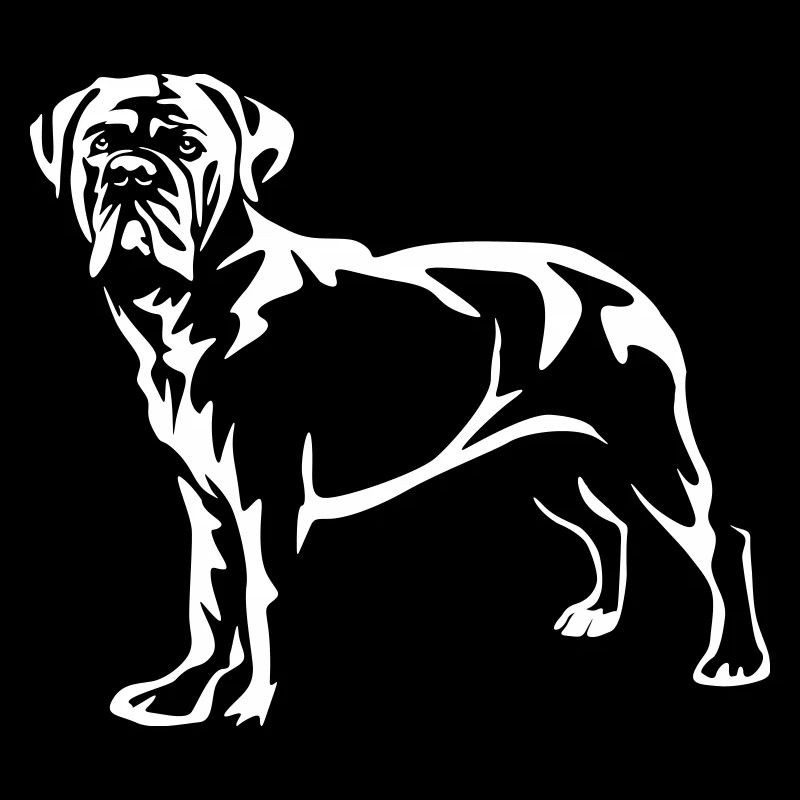 Cane Corso « Black Edition »