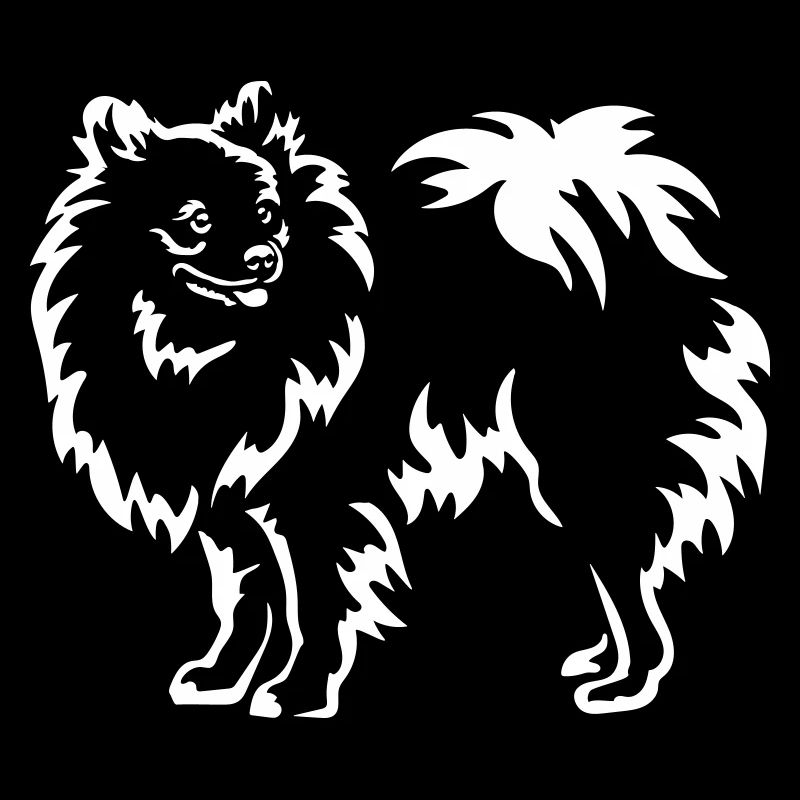 Spitz "Black Edition"
