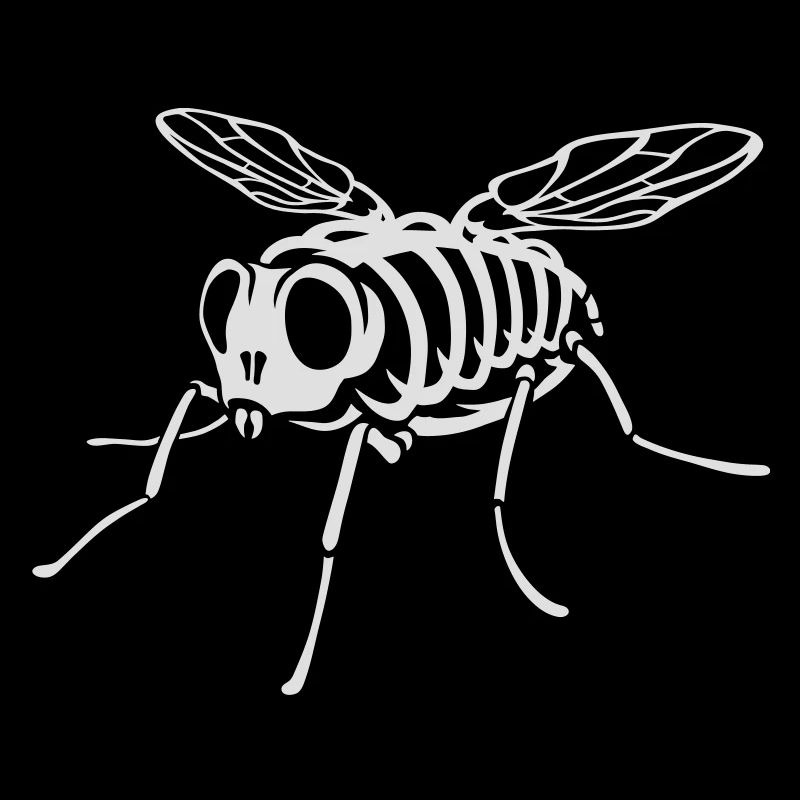 Skeleton Fly