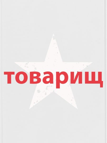 товарищ