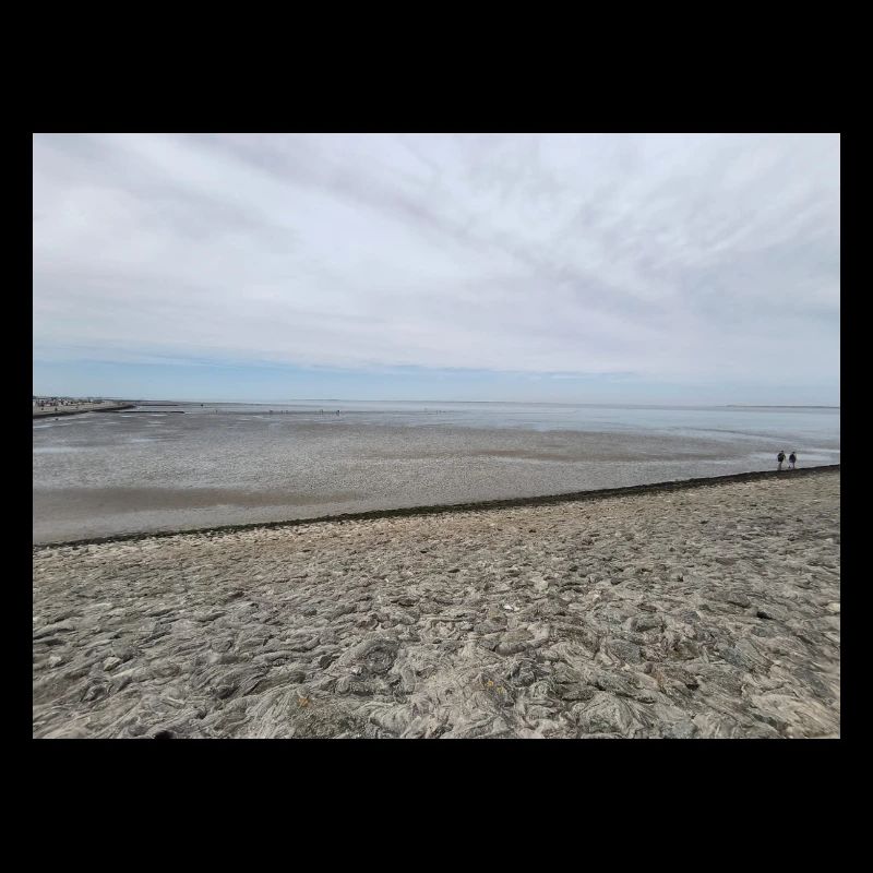 Image de sable et d’eau de la côte de la mer du Nord
