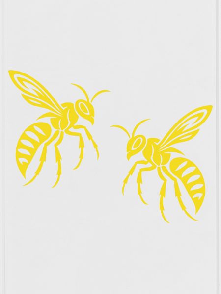Bee Wasp