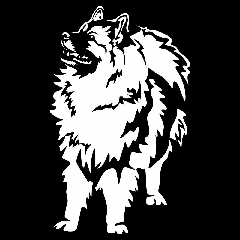 Wolfsspitz « Édition Noire »
