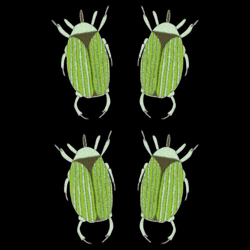 insecte vert
