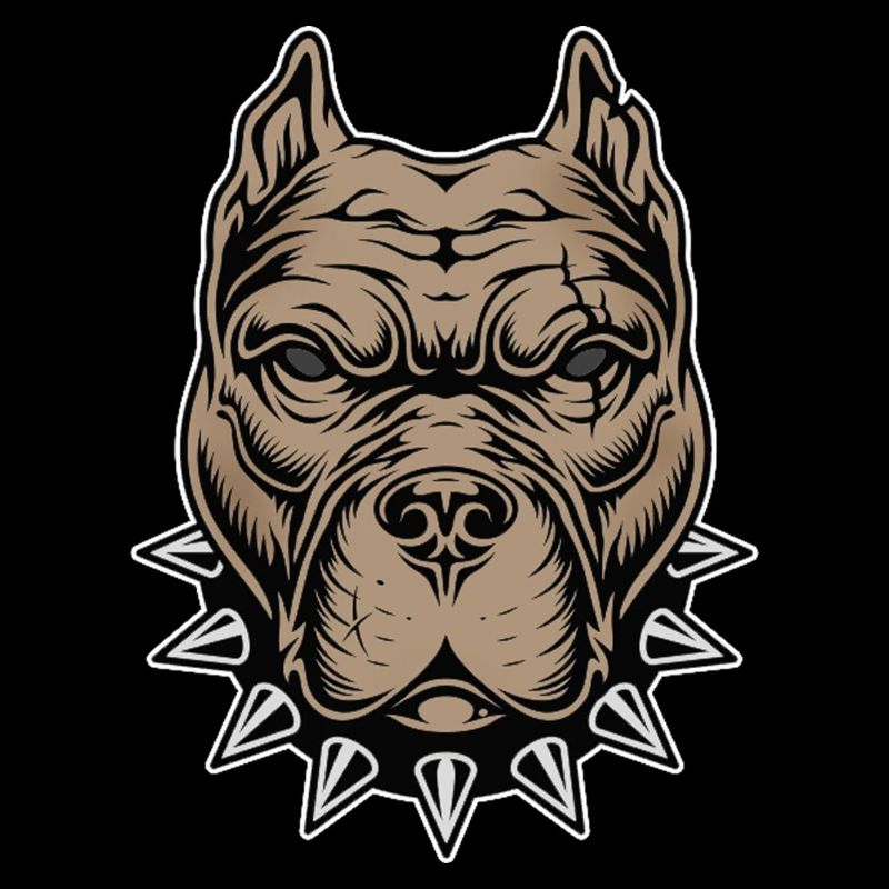 Aggressive dog