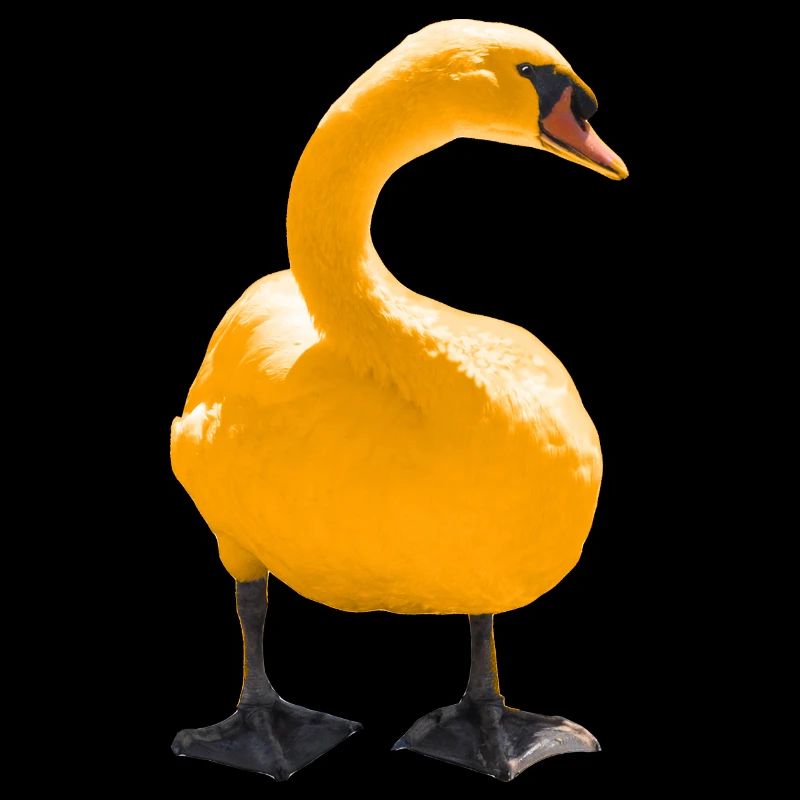 Impression d’art cygne élégant