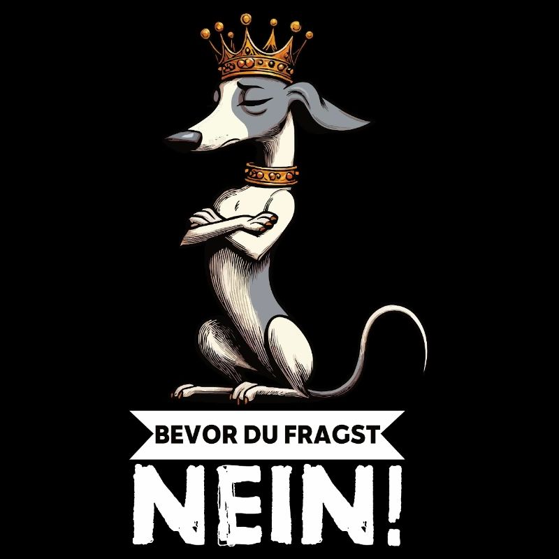 Avant de demander aux Whippets Greyhound Whippets