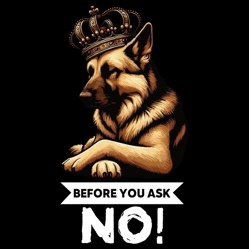Before You Ask German Shepherd Shepherds