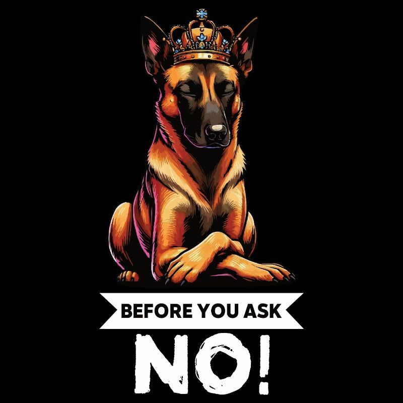 Before You Ask Malinois Belgian Shepherd Dog