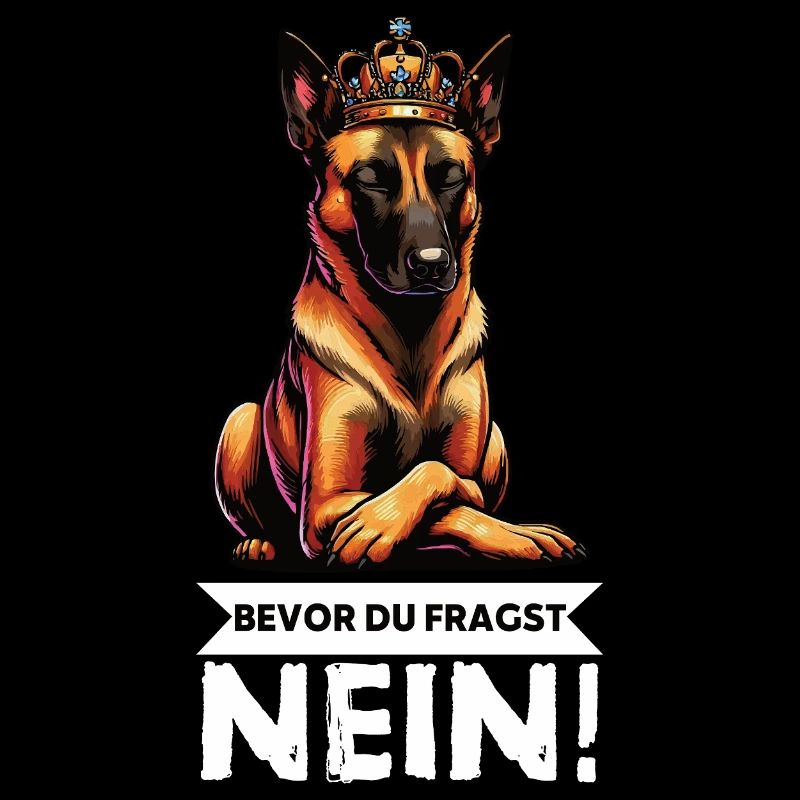 Before you ask: Malinois Belgian Shepherd