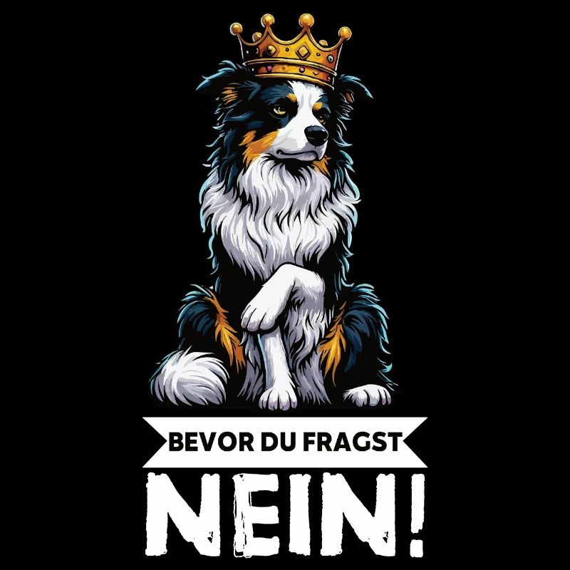 Bevor Du Fragst Australian Shepherd Aussie Aussie