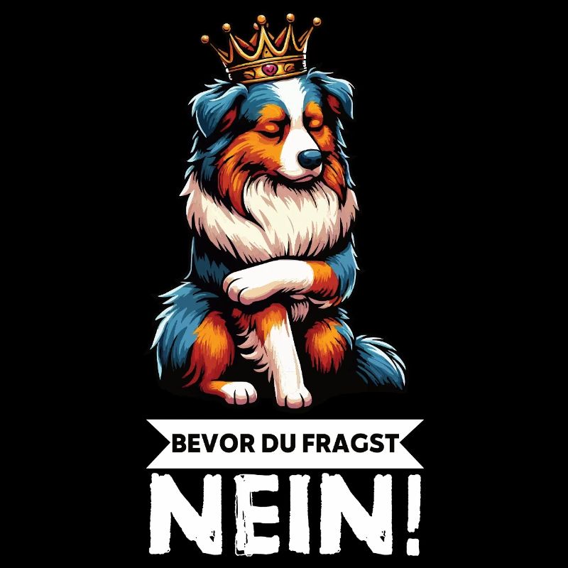 Bevor Du Fragst Australian Shepherd Aussie Aussie