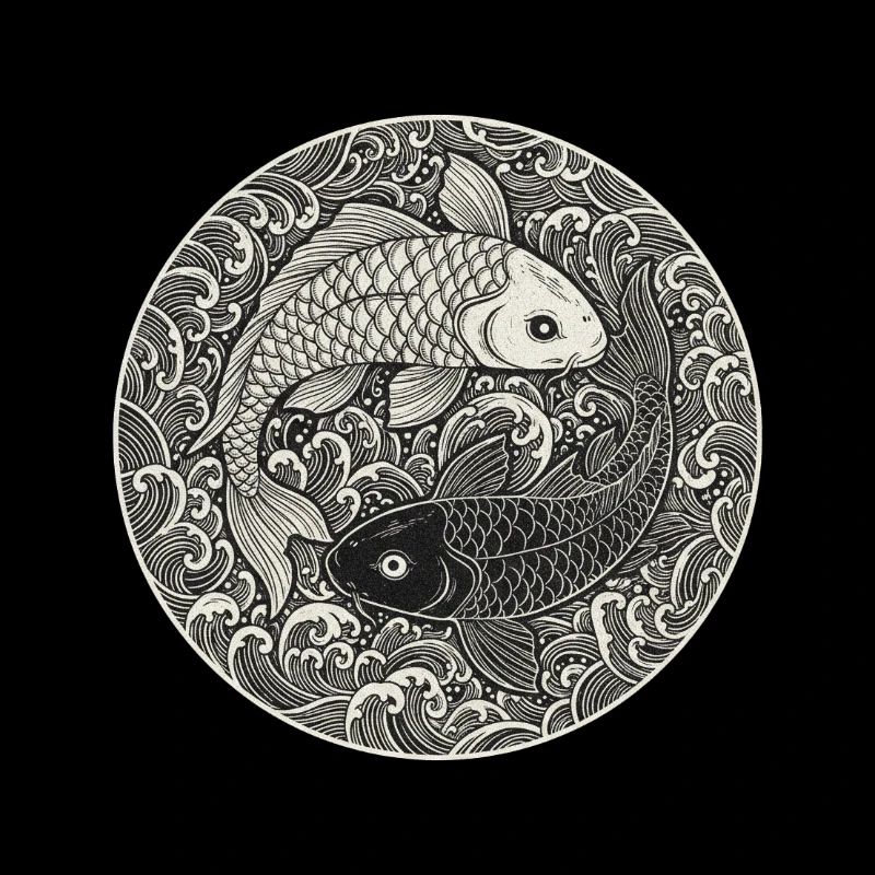 Carpe koi