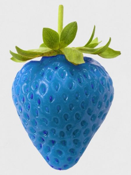 Blue Strawberry