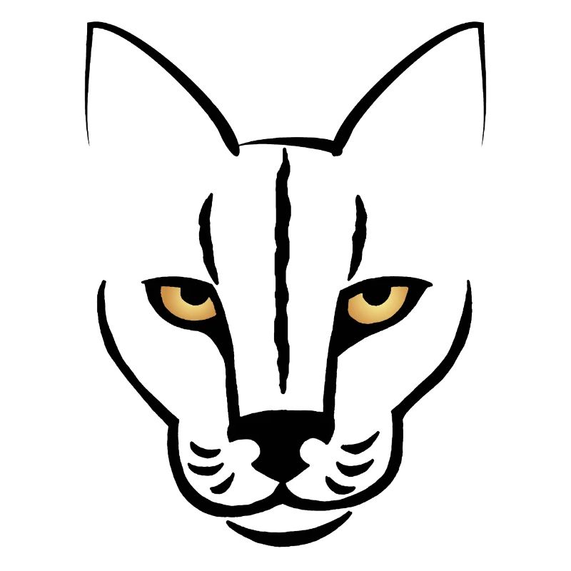 Le regard du chat